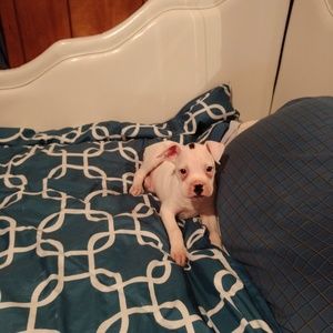 Meet your Posher, Janet